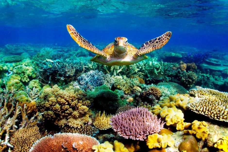 35 головних визначних пам'яток Австралії